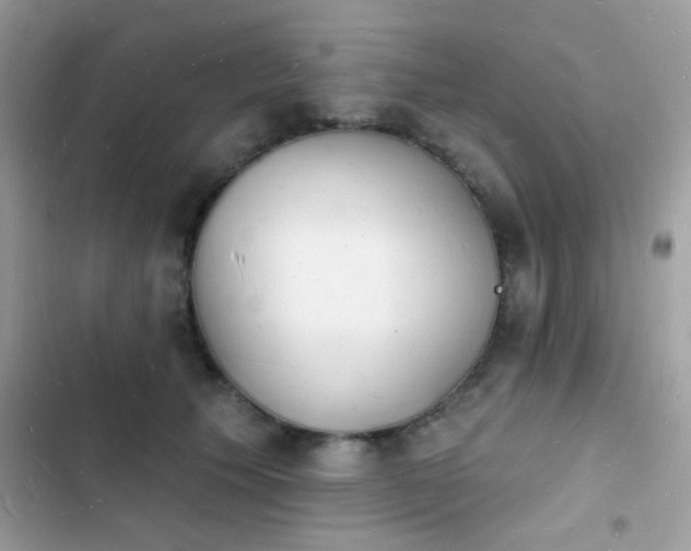 X0000103970609200809191536