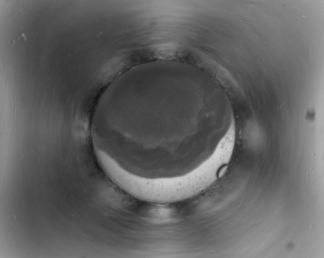 X0000103970610200809191536