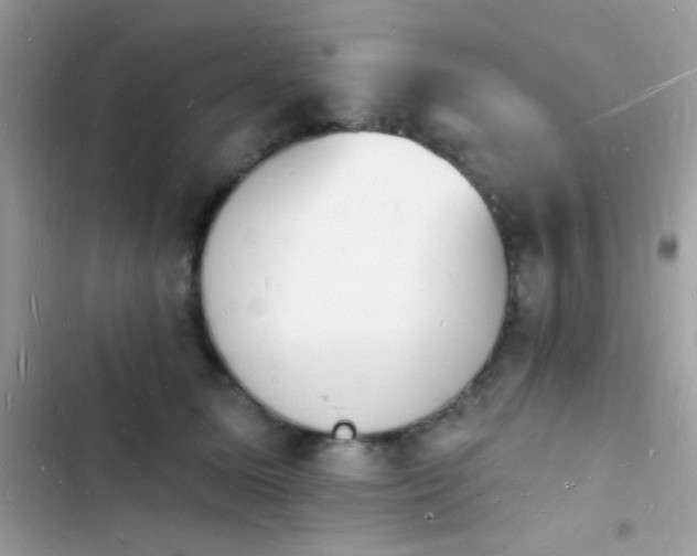 X0000103970611200809191536