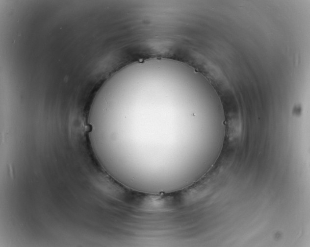 X0000103970613200809191536