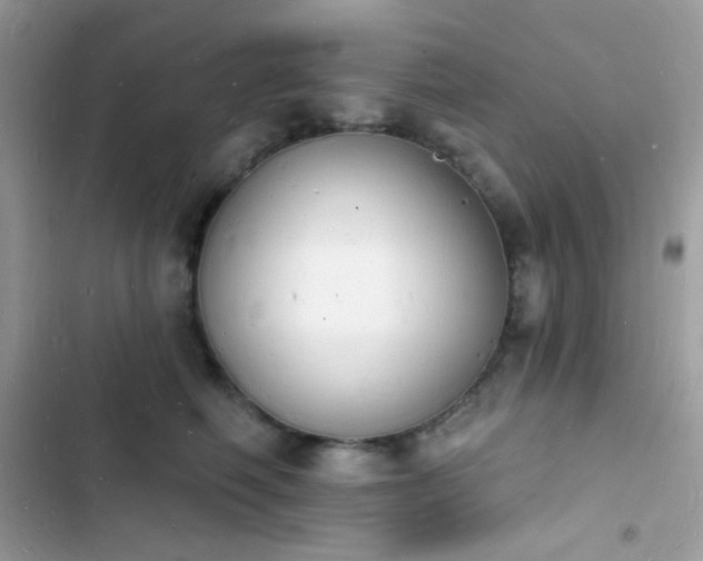 X0000103970614200809191536