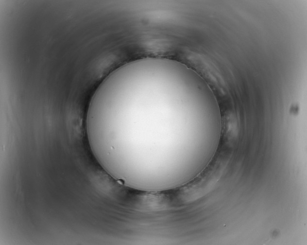 X0000103970615200809191536