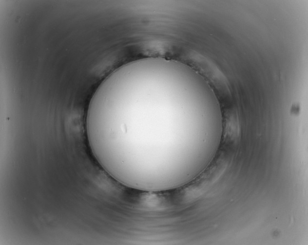 X0000103970616200809191536