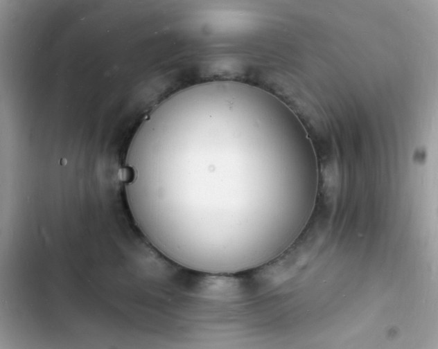 X0000103970617200809191536