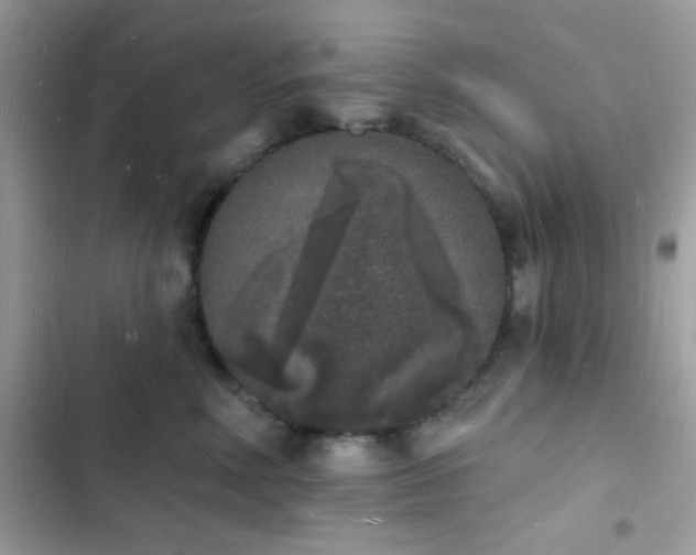 X0000103970618200809191536