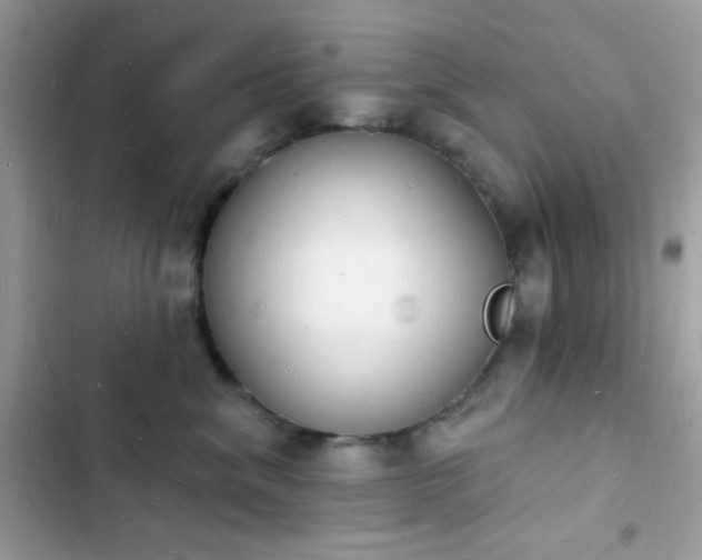 X0000103970620200809191535