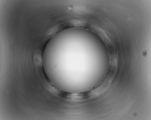 X0000103970622200809191535