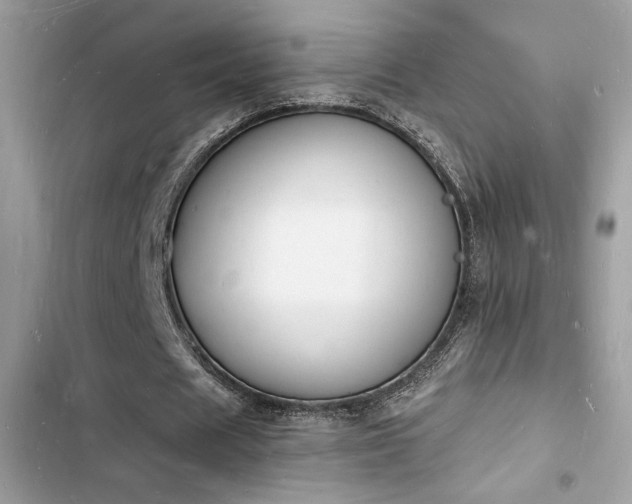 X0000103970625200809191535