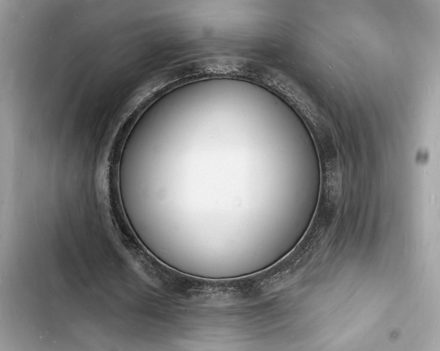 X0000103970626200809191535