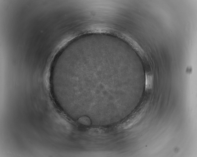 X0000103970627200809191535