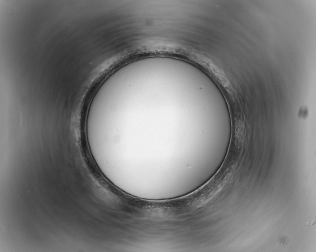 X0000103970629200809191535