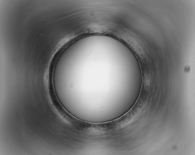 X0000103970630200809191535