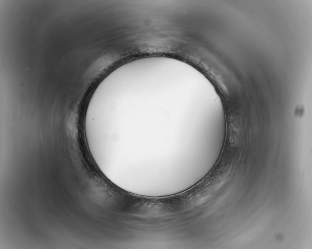 X0000103970631200809191535