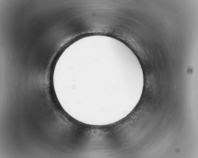 X0000103970632200809191535