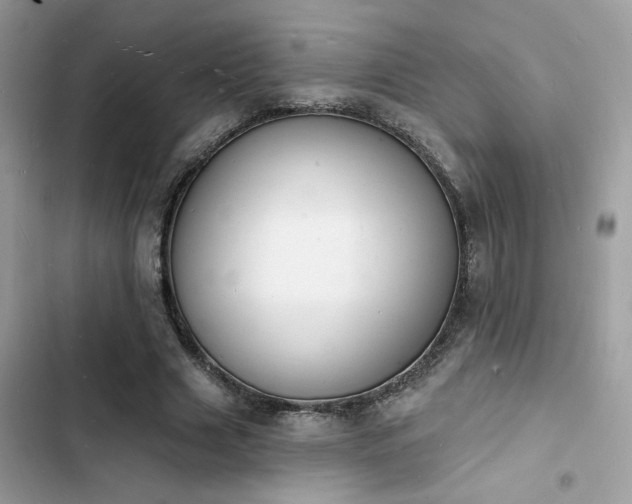 X0000103970633200809191535