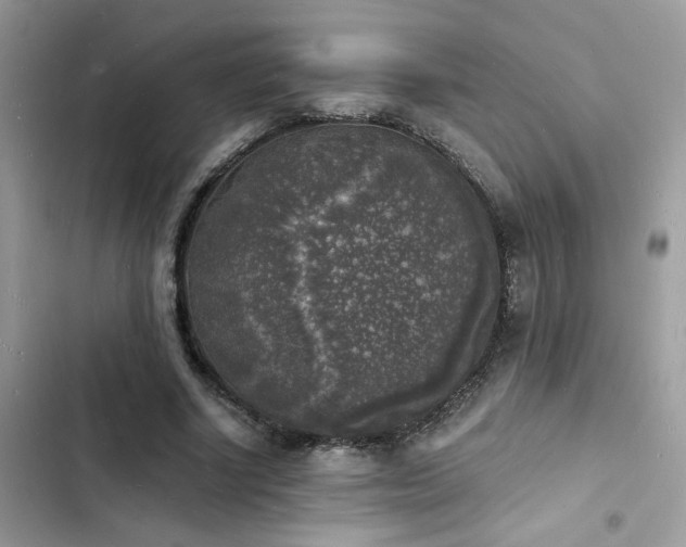 X0000103970634200809191535