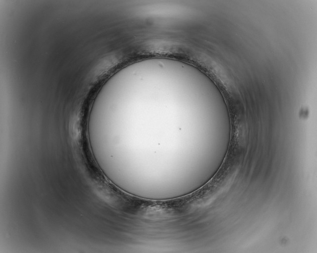 X0000103970635200809191535