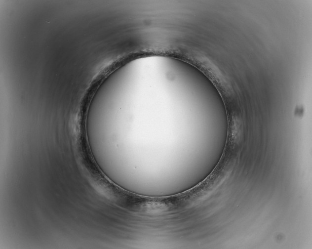 X0000103970636200809191535