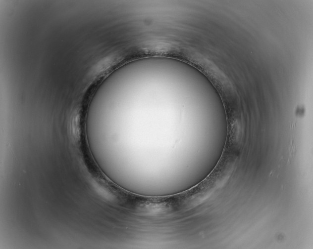 X0000103970638200809191535