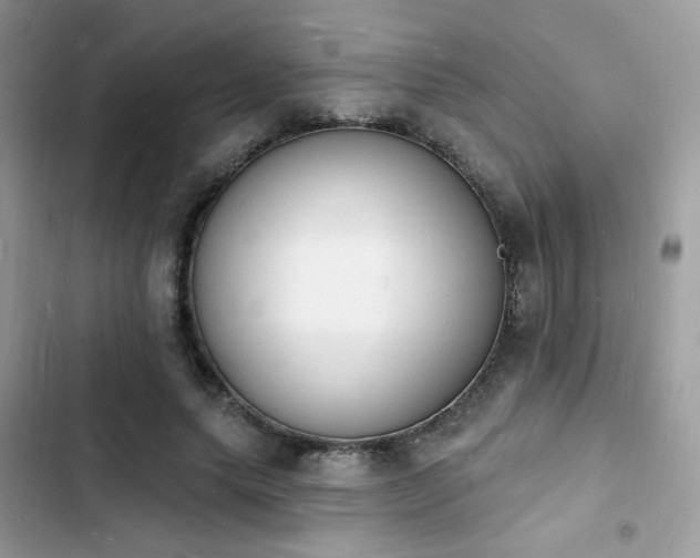 X0000103970639200809191535