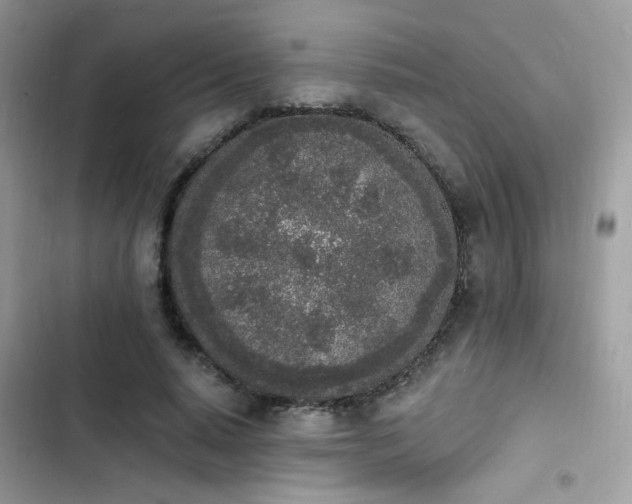 X0000103970640200809191535