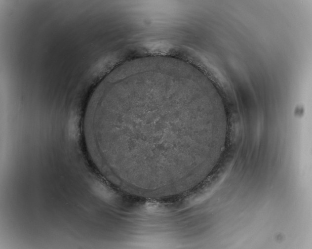 X0000103970641200809191535