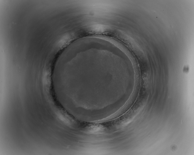 X0000103970642200809191535