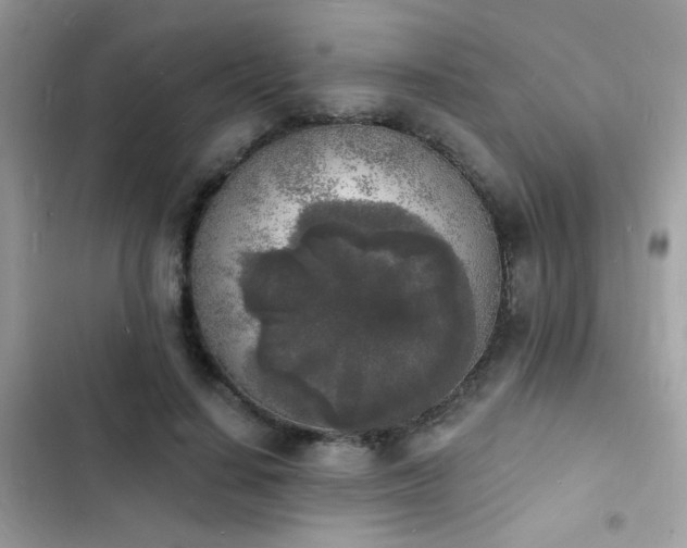 X0000103970644200809191535