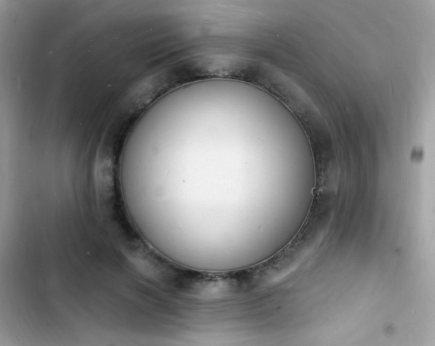 X0000103970646200809191535