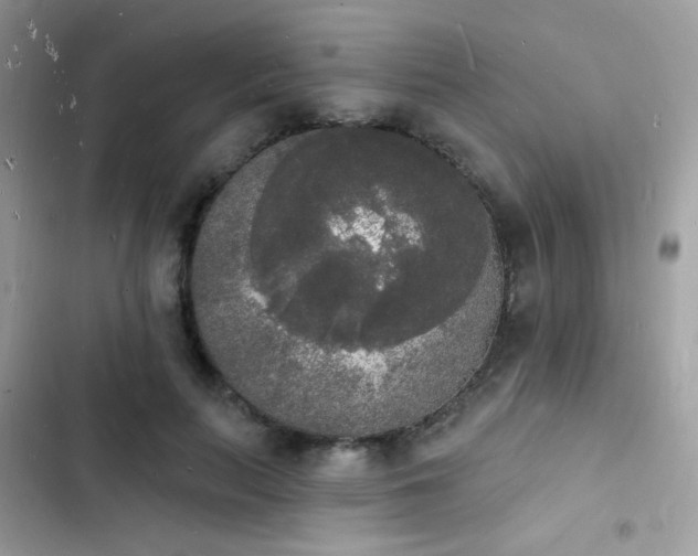 X0000103970647200809191535