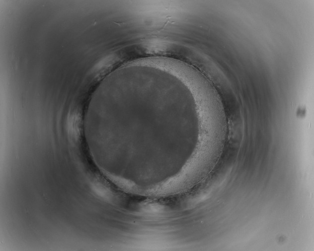 X0000103970648200809191535