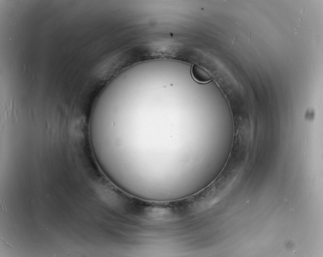 X0000103970649200809191535