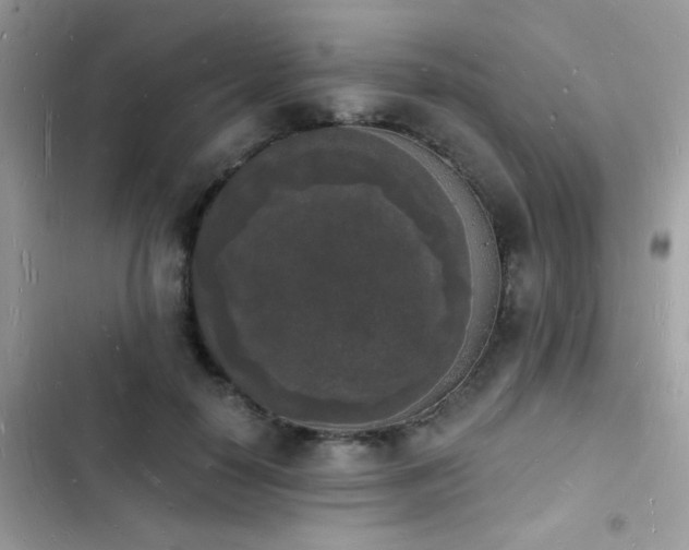 X0000103970650200809191535