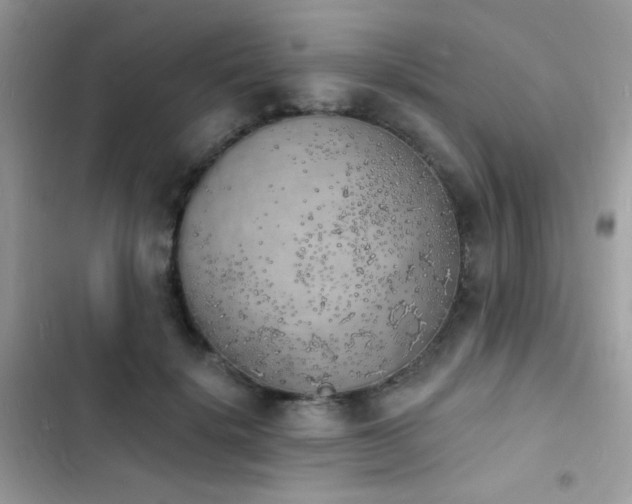 X0000103970652200809191535