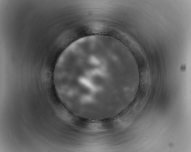 X0000103970653200809191535