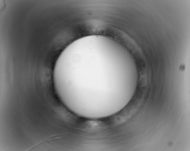 X0000103970654200809191535