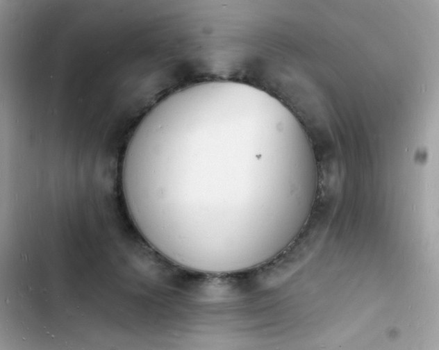 X0000103970656200809191535