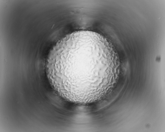 X0000103970657200809191535