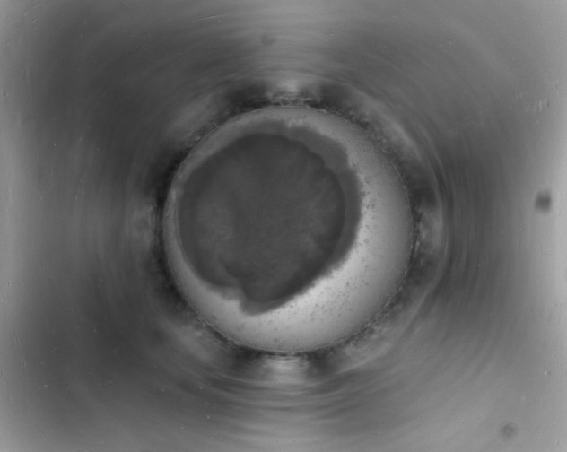 X0000103970659200809191535