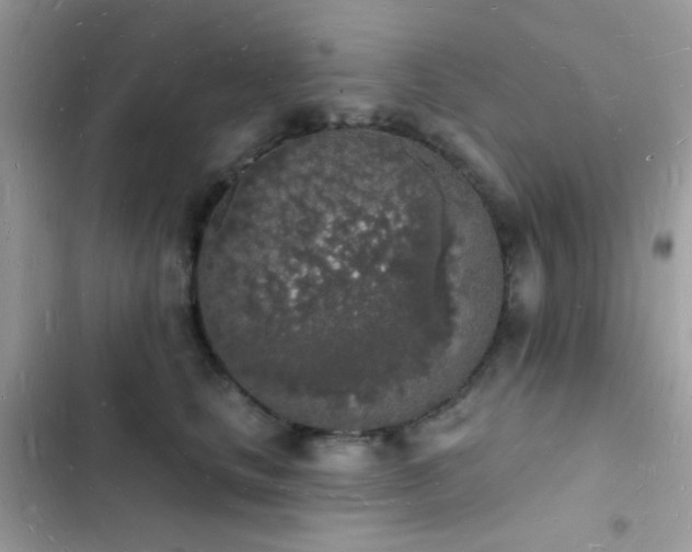 X0000103970661200809191535