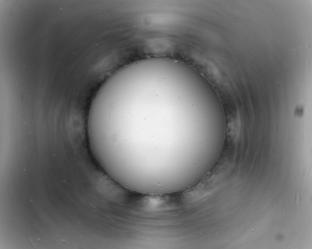 X0000103970662200809191535