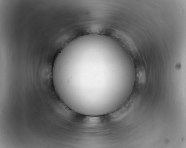 X0000103970665200809191535