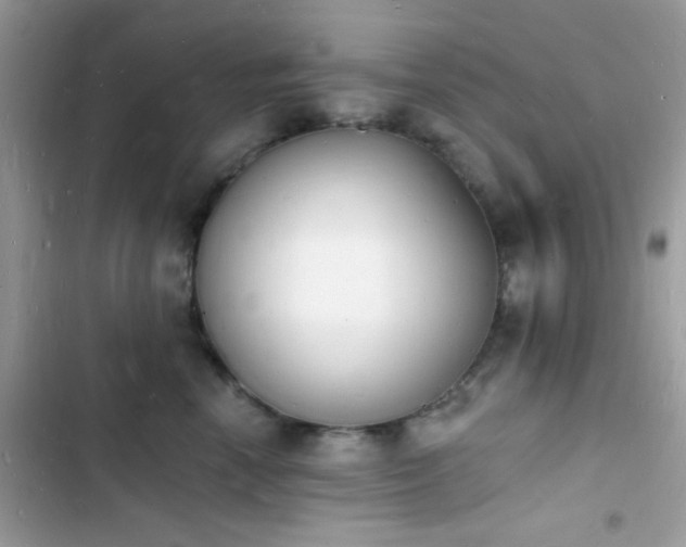 X0000103970666200809191535