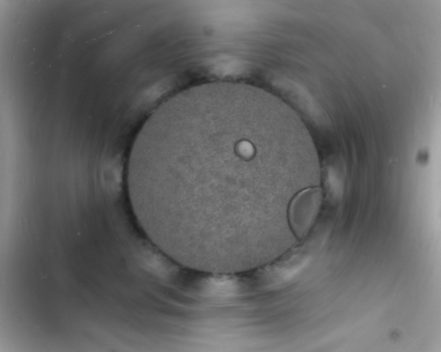 X0000103970668200809191535