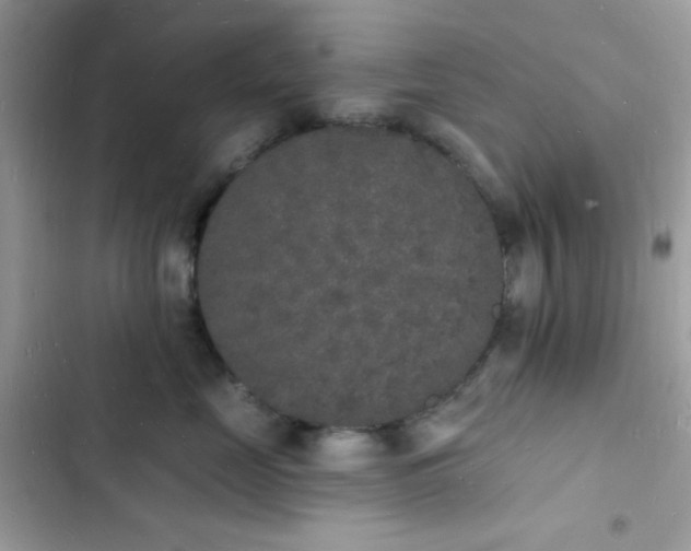 X0000103970669200809191535