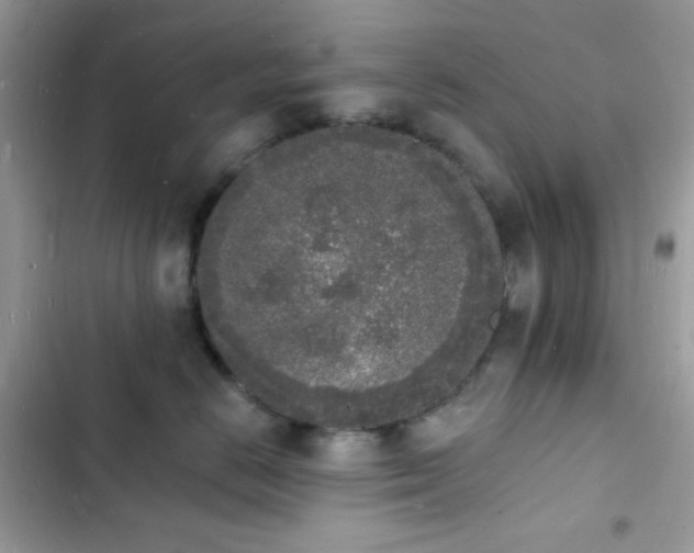 X0000103970670200809191535