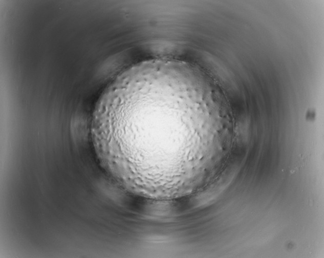 X0000103970671200809191535