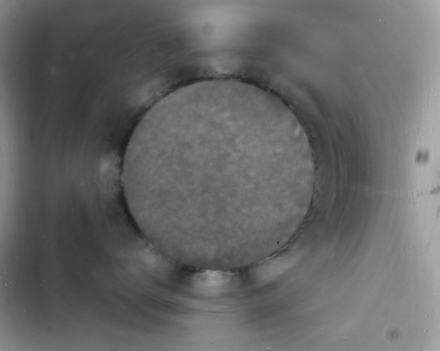 X0000103970672200809191535