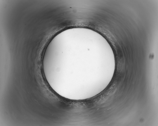 X0000103970673200809191535