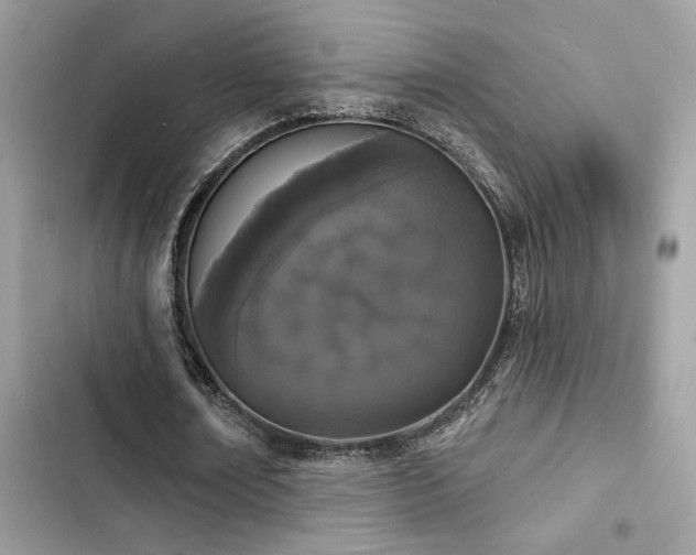 X0000103970674200809191535